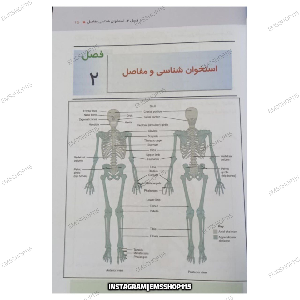 کلیات آناتومی عمومی + آزمون