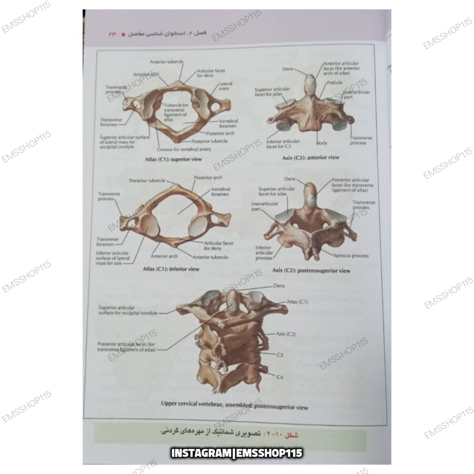 کلیات آناتومی عمومی + آزمون